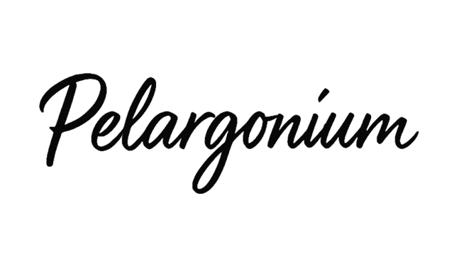 Pelargonium
